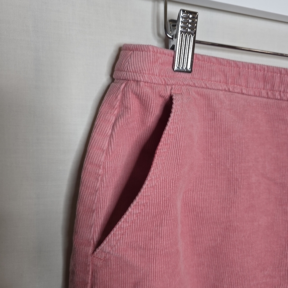 J. Crew Womens Pink Corduroy Knee Length Skirt Size 10 - Picture 3 of 7